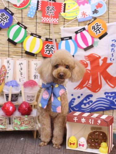 20240718なるくん